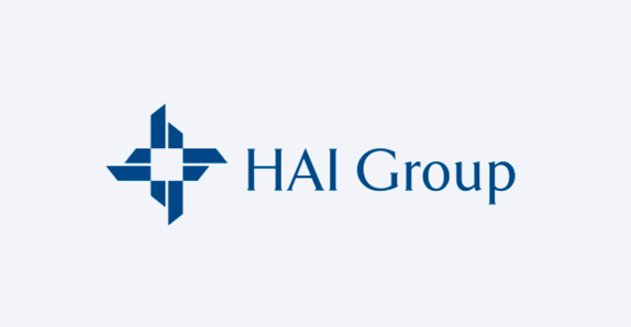 hai-group-banner