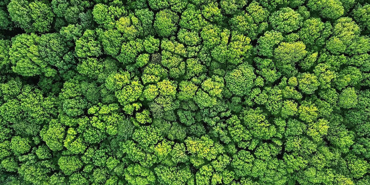 Digital Twin: Understanding environmental impacts of low-carbon technologies