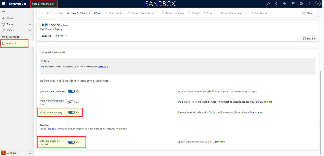 Copilot feature enabled in Microsoft Dynamics 365 environment